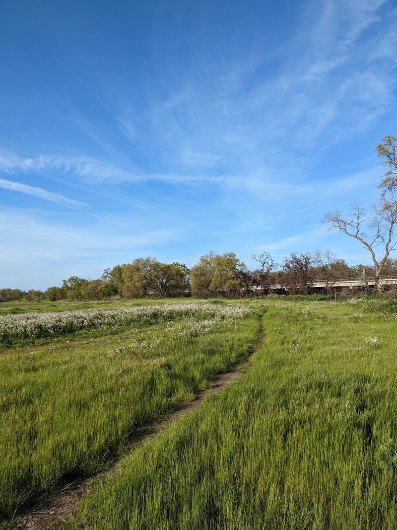 Parkway Greenery Frames Much Of The Route