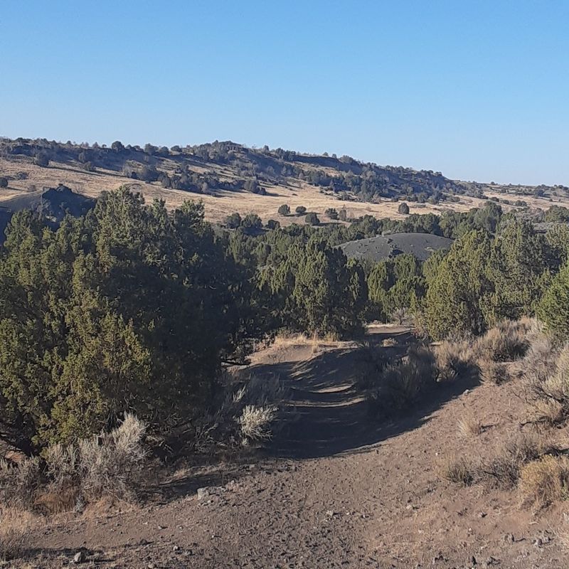 Hiking Trails Through Desert And History