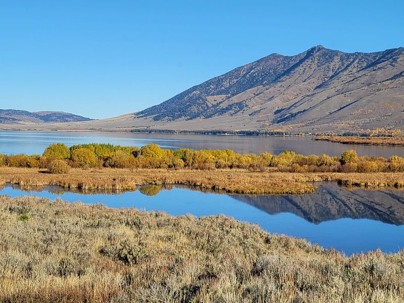 10 Idaho Lakes And Rivers That Look Absolutely Stunning In Late Summer - Decor Hint Henrys Lake