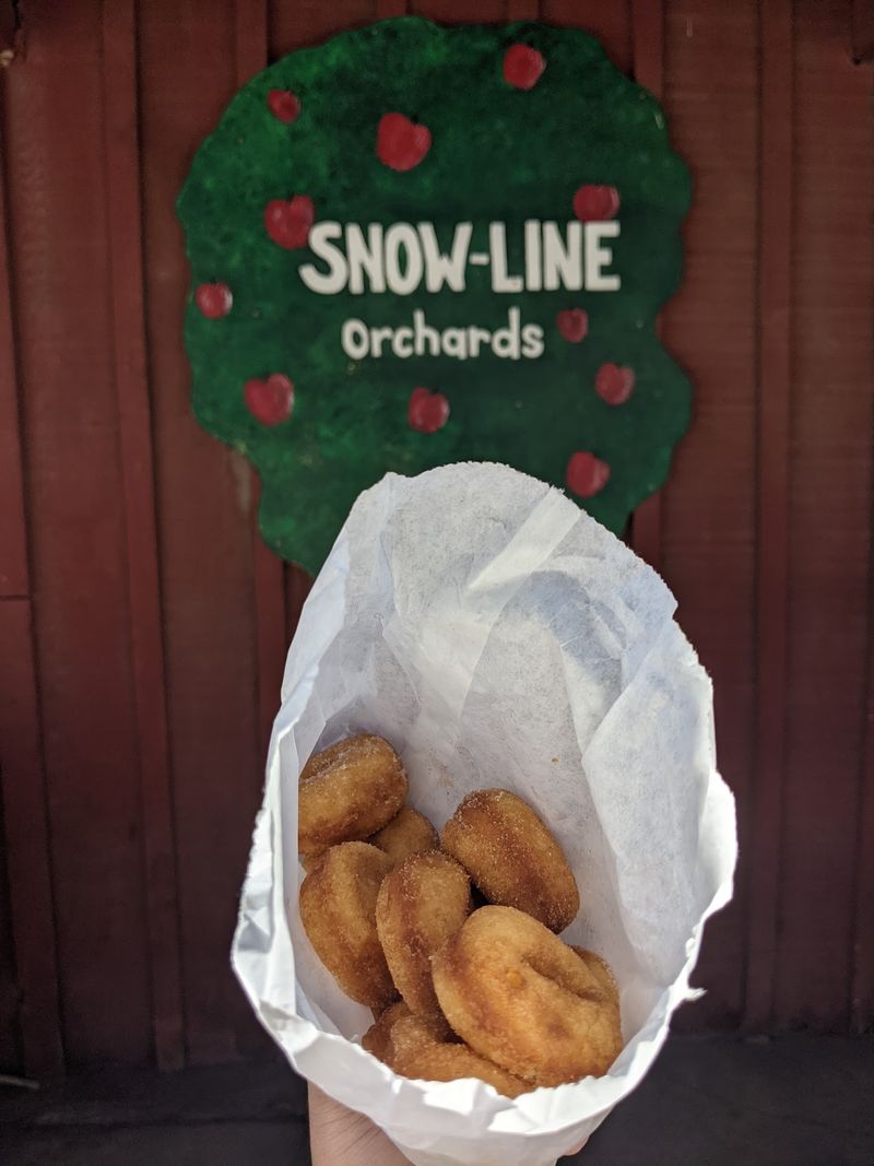 Mini Apple Cider Donuts Are Worth The Line By Themselves
