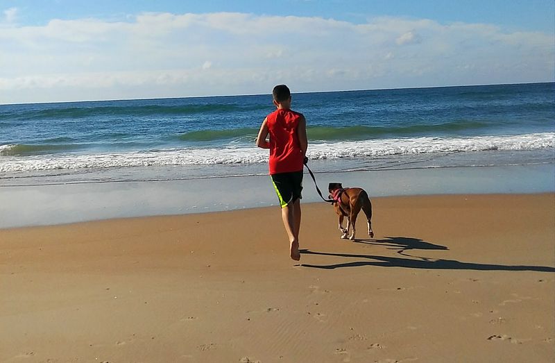 8 Massive North Carolina Islands Where Summer Explorers Lose Track Of Time - Decor Hint Topsail Island, Southeastern North Carolina