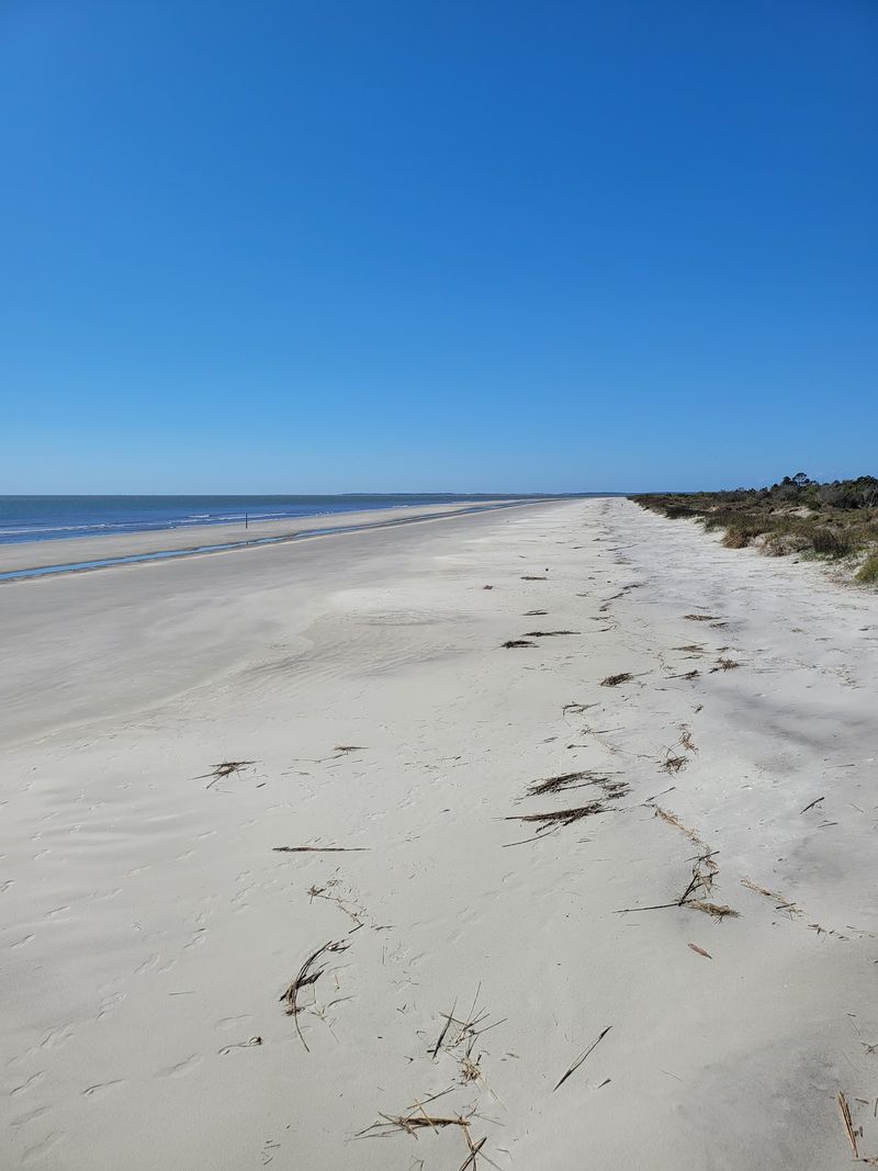 Nanny Goat Beach, Sapelo Island