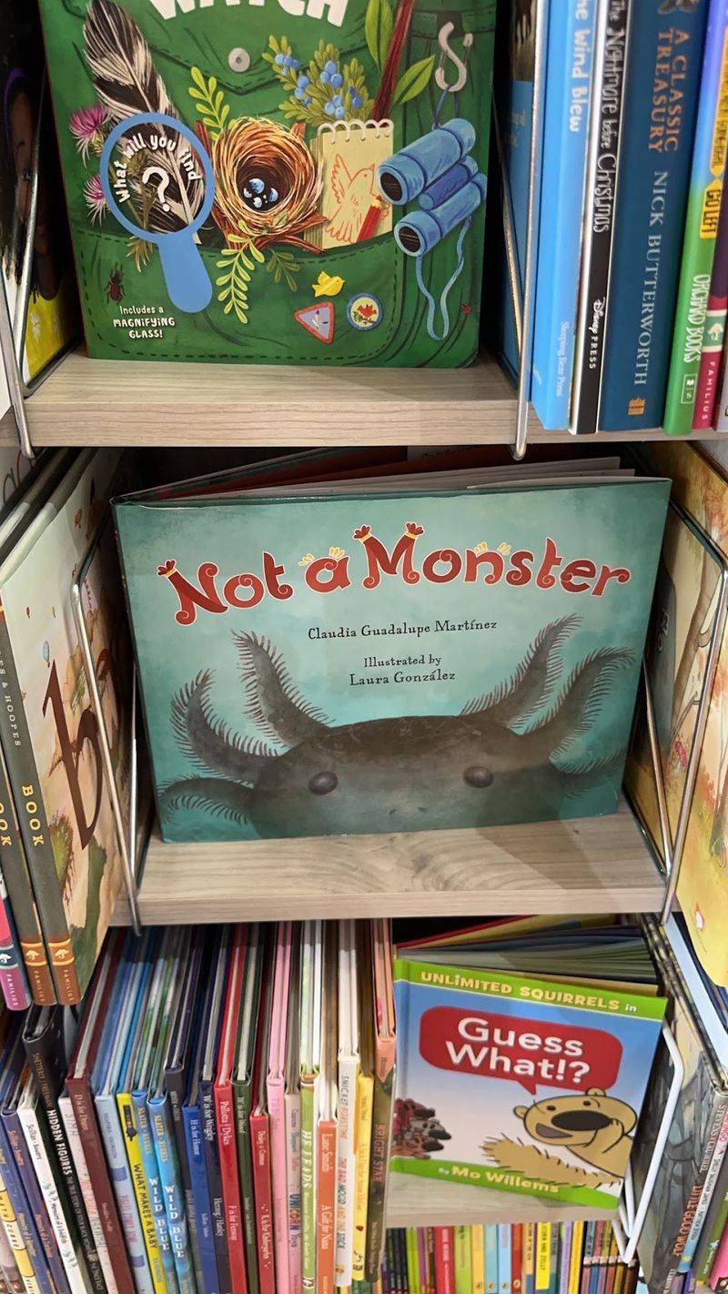 This Cozy Nebraska Bookstore Has A Terrace, Collectible Books And A Cat Who Thinks He Runs The Place - Decor Hint Look For Books For Younger Readers Too