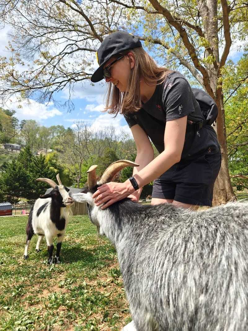 Discover How Volunteers Keep The Sanctuary Running