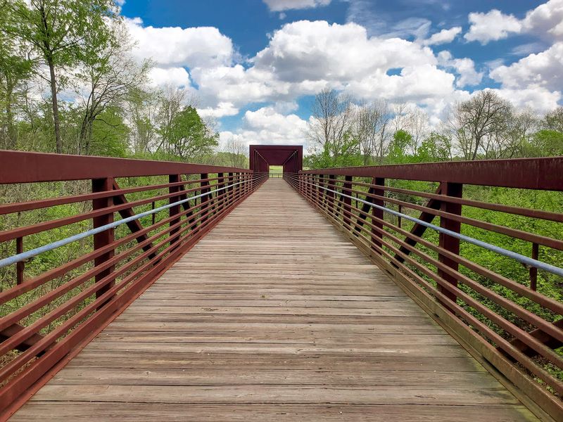 Use Bright Days For Walks Around Raleigh’s Parks And Greenways