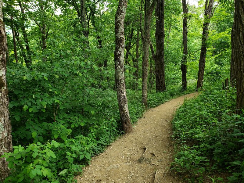 Look For Quiet Trails And Scenic Stops Around Nearly Every Bend