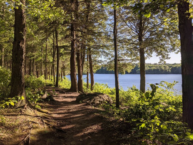 Spend The Day Swimming, Kayaking, And Hiking At One Connecticut Outdoor Escape - Decor Hint This Wooded Park Works For A Full Day Outside