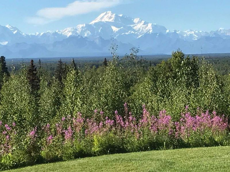 This Quirky Alaska Town Feels Like A Cozy Weekend Escape With Big Culinary Charm - Decor Hint Fireweed Ice Cream And Wild Game Burgers