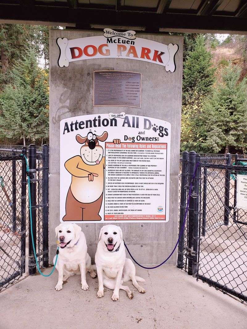 Dog-Friendly Features That Truly Deliver