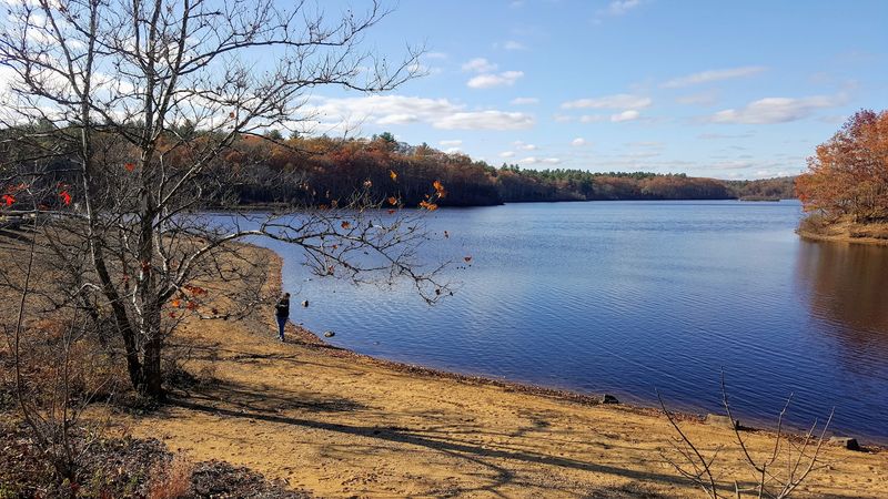 Mansfield Hollow State Park, Mansfield 