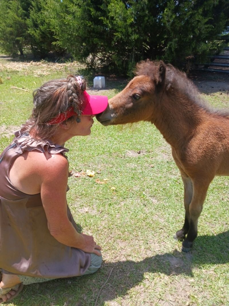 Bring Your Horse And Ask About The Venue's Trail Options