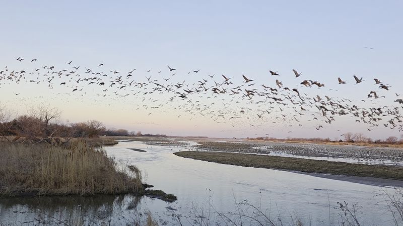 Listen To A Soundscape You Will Not Hear Anywhere Else Nearby