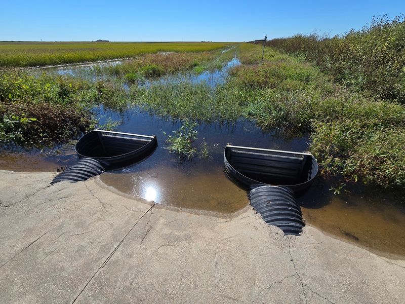 Explore Nebraska's Rainwater Basin