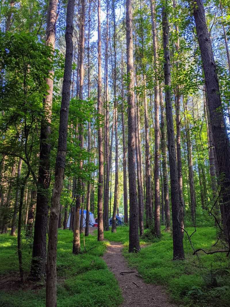 Chattahoochee Bend State Park, Newnan