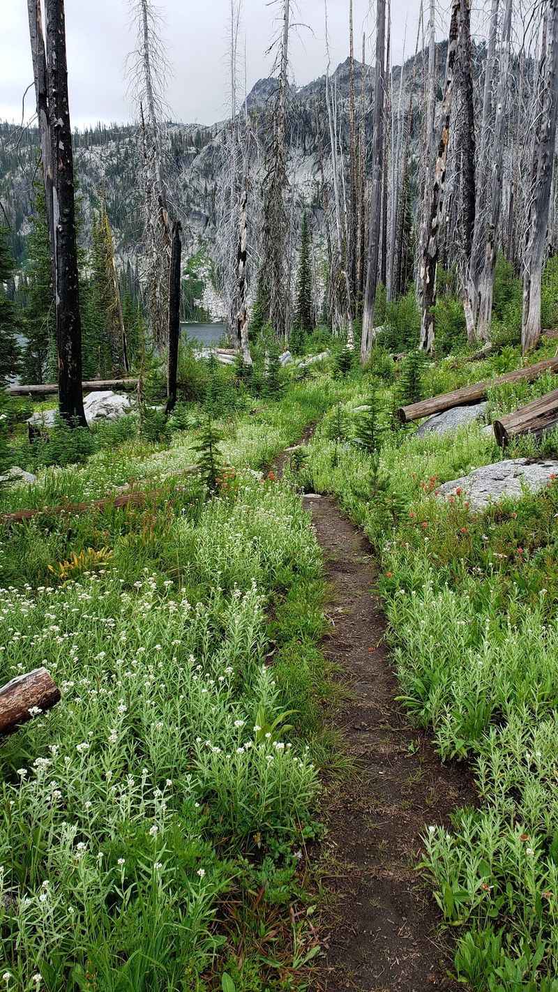 Upper Hazard Lake Trail, near McCall