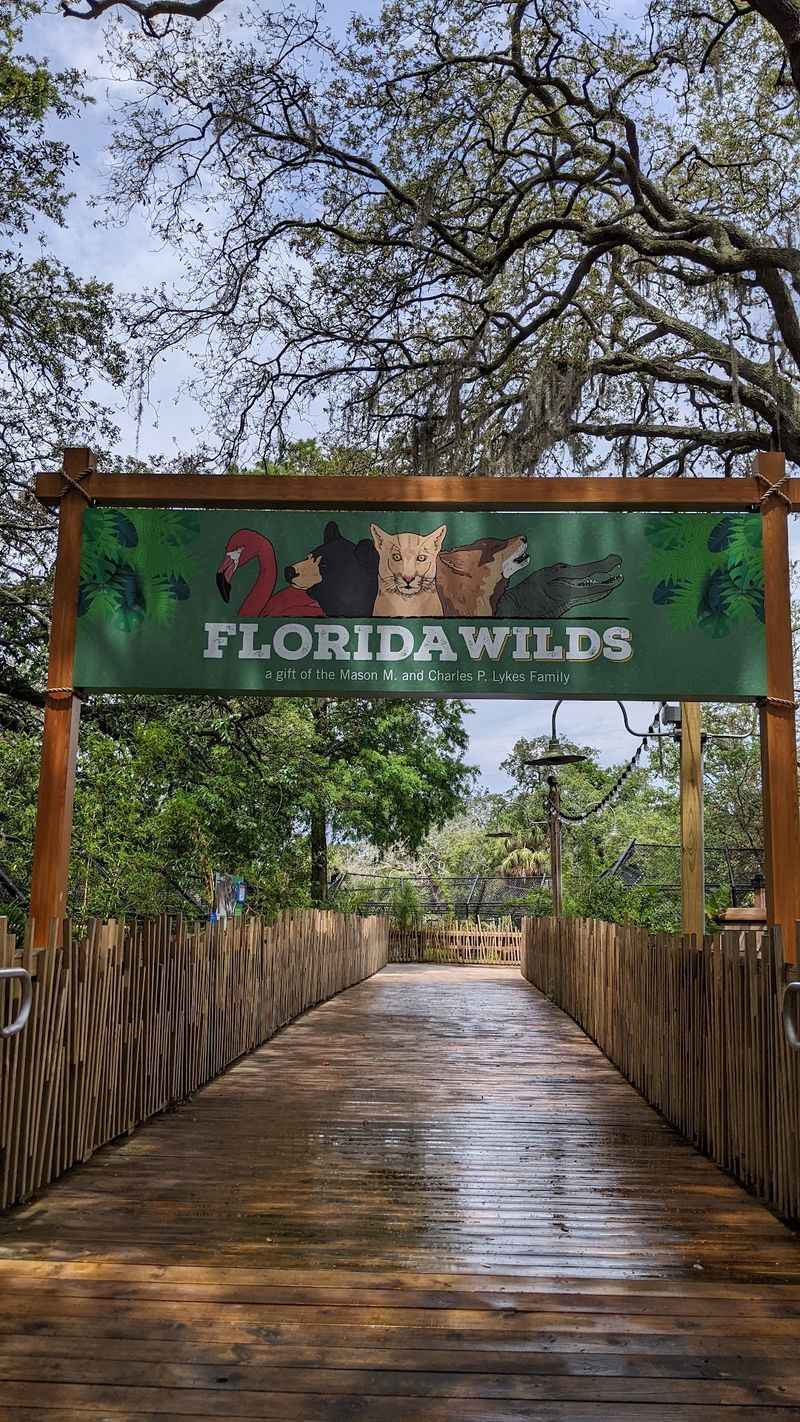 Native Wildlife Of The Sunshine State