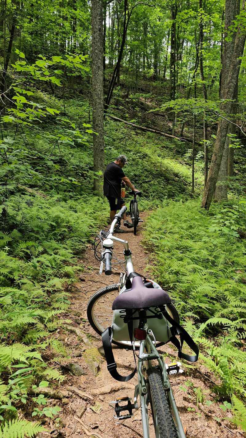 Aska Trail System, Blue Ridge