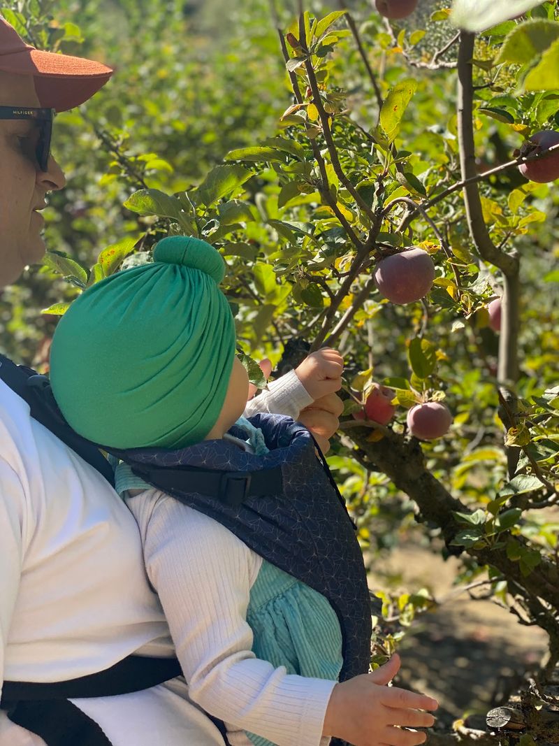 Casa Solano Orchards Brings A Fresh Chapter To An Old Farm