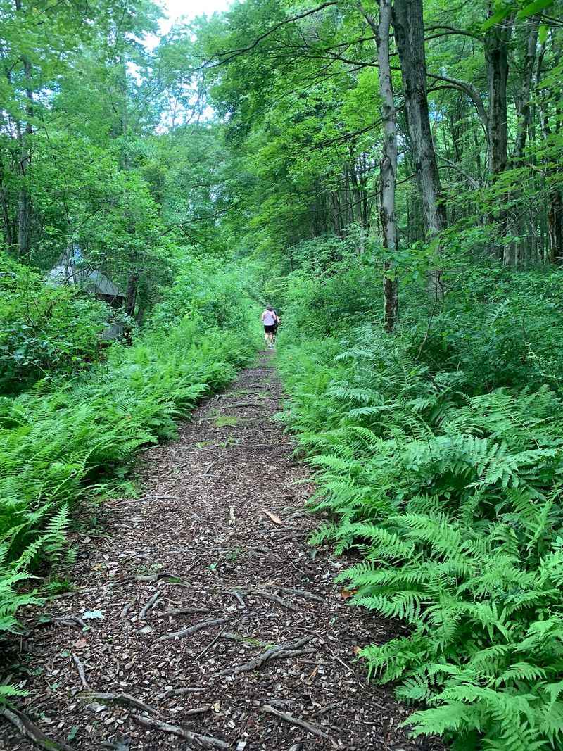 A 60-Acre Connecticut Nature Retreat Where The Cabins Look Straight Out Of A Storybook - Decor Hint Trails, Gardens, And Quiet Corners