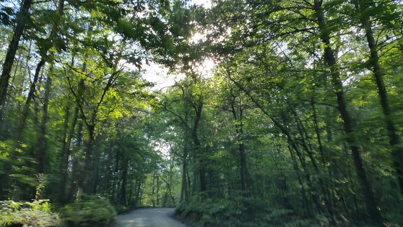 10 Quiet Georgia Mountain Towns That Haven't Been Ruined By Tourists Yet - Decor Hint Morganton