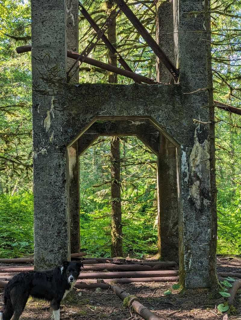 Treadwell Mine Historic Trail, Savikko Park, Juneau
