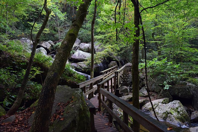10 Quiet North Carolina Hikes To Escape The August Crowds In 2026 - Decor Hint Chestnut Knob Trail, South Mountains State Park, Connelly Springs