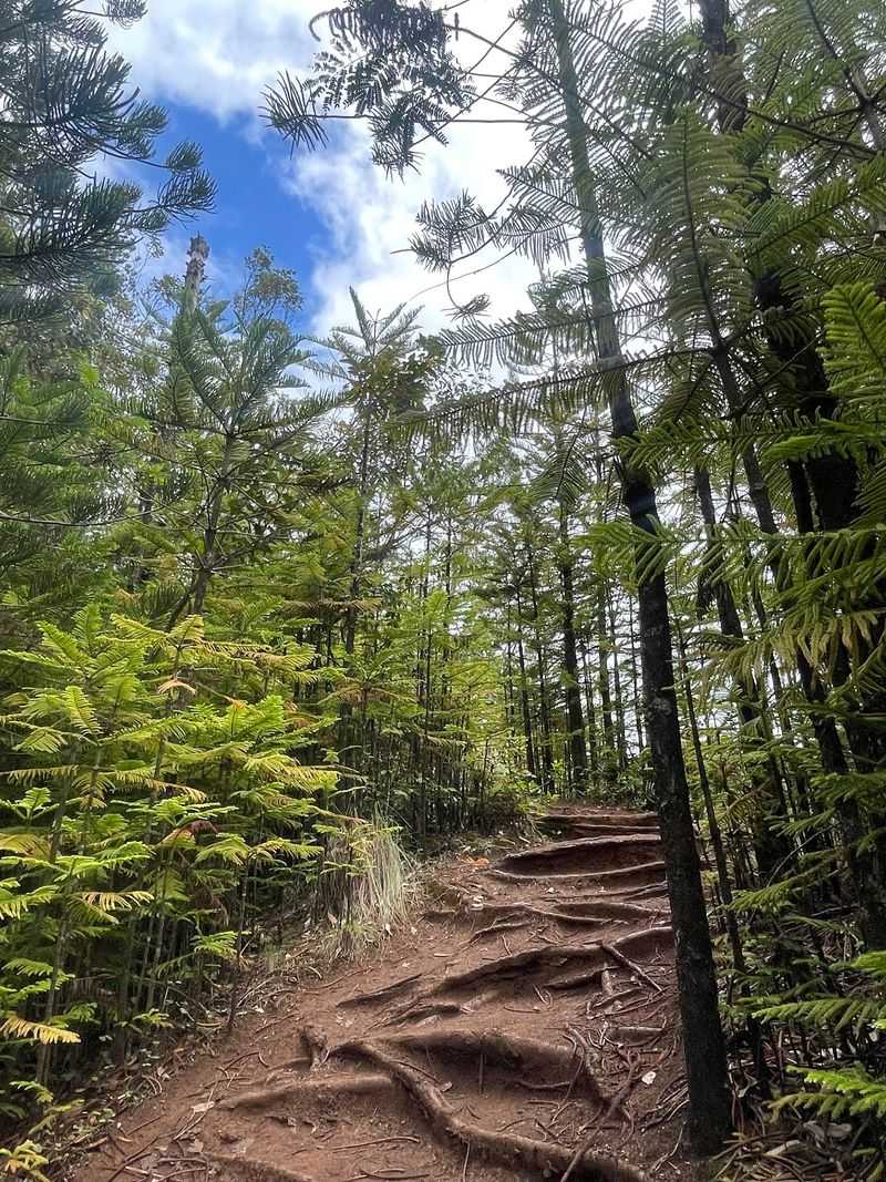 Trails Worth The Sweat