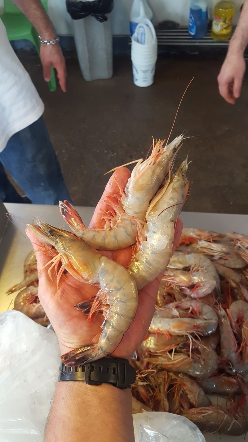 This Longtime Texas Seafood Market Has Served Fresh Gulf Favorites Since 1959 - Decor Hint Shrimp So Fresh You'll Skip The Grocery Store