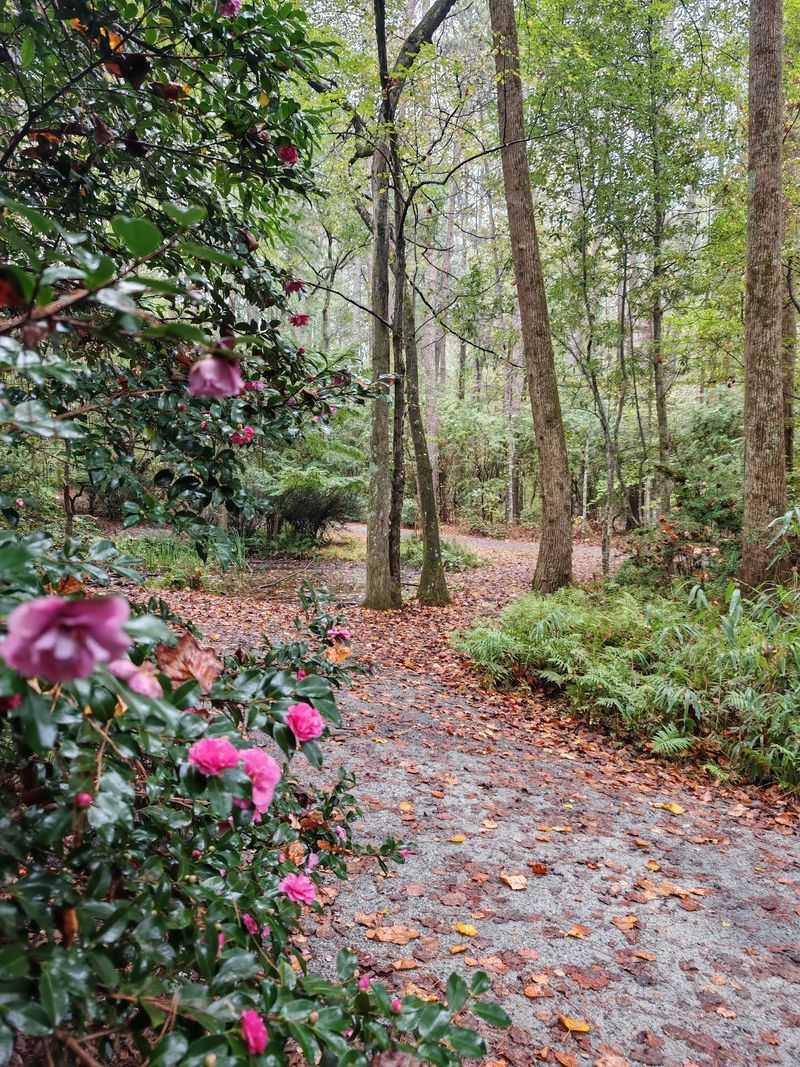 Themed Gardens That Change With The Calendar