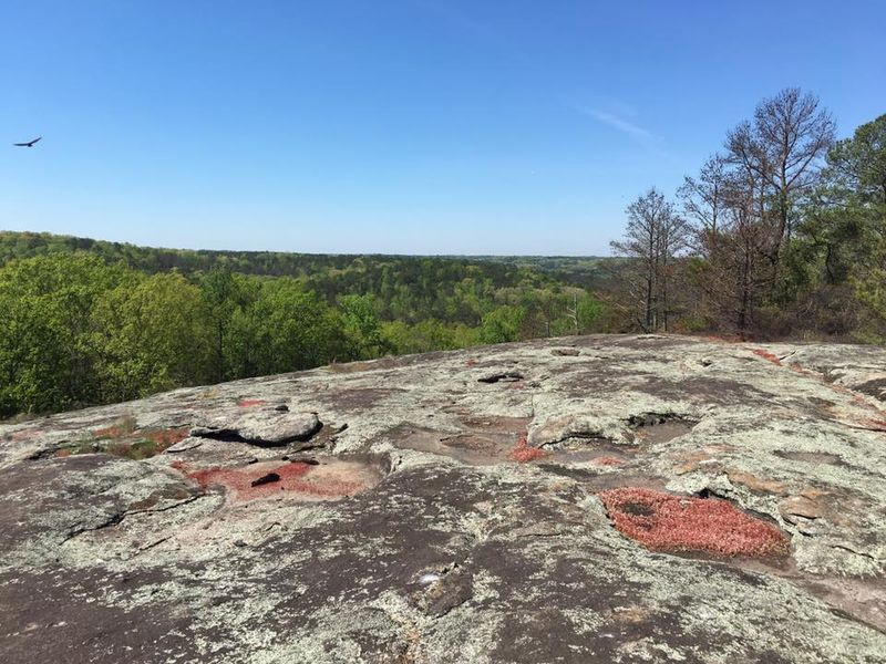 Panola Mountain State Park, Stockbridge