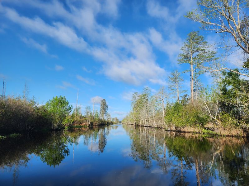 Okefenokee National Wildlife Refuge, Folkston