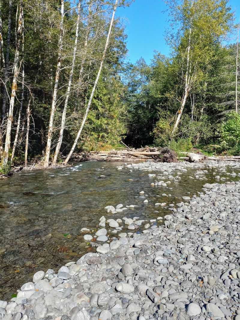 Dungeness Forks Campground, Sequim