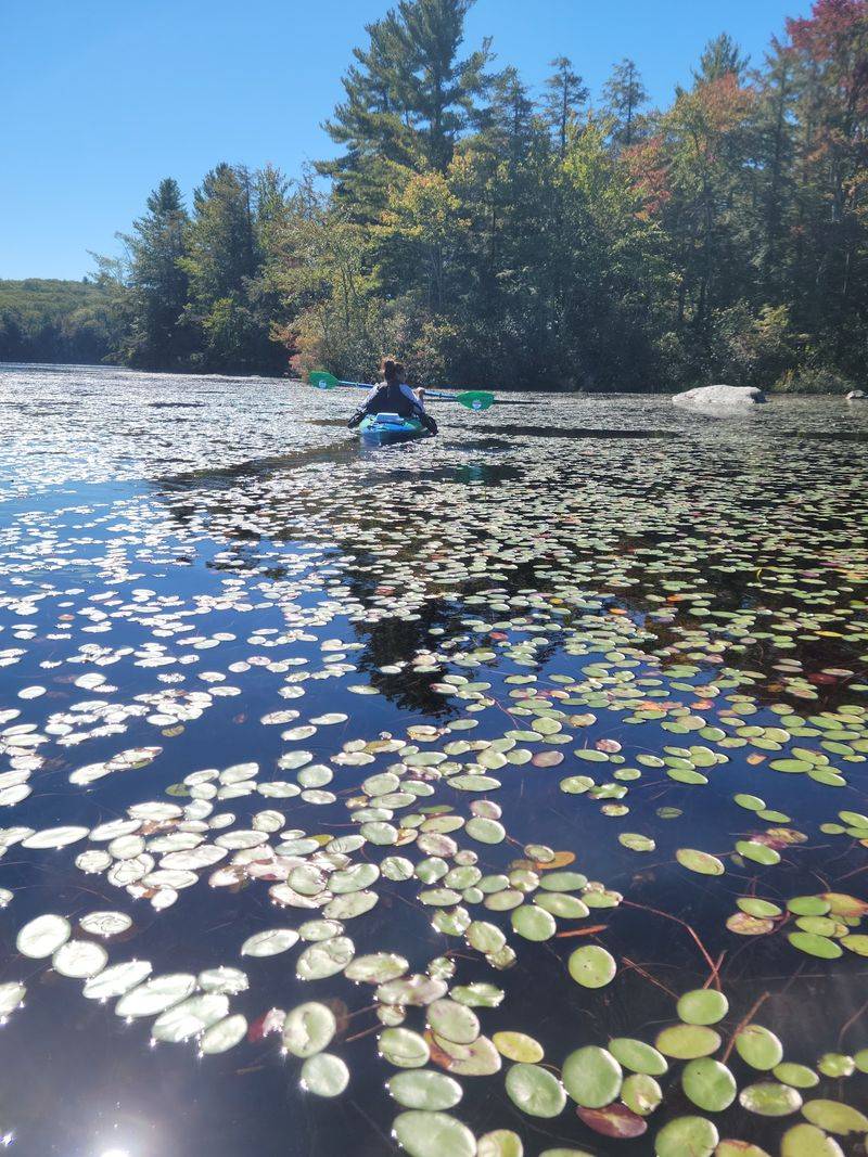 Spend The Day Swimming, Kayaking, And Hiking At One Connecticut Outdoor Escape - Decor Hint Kayaks And Paddleboards Get You Out On The Water