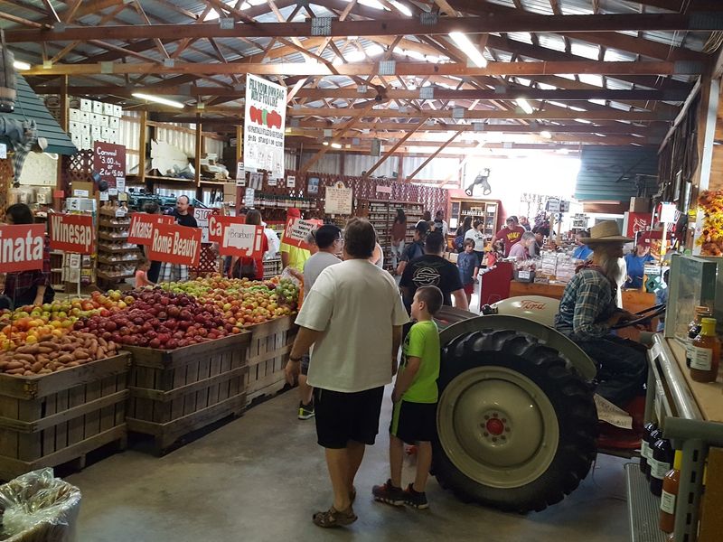 The Apple Pickin Jubilee Runs All September