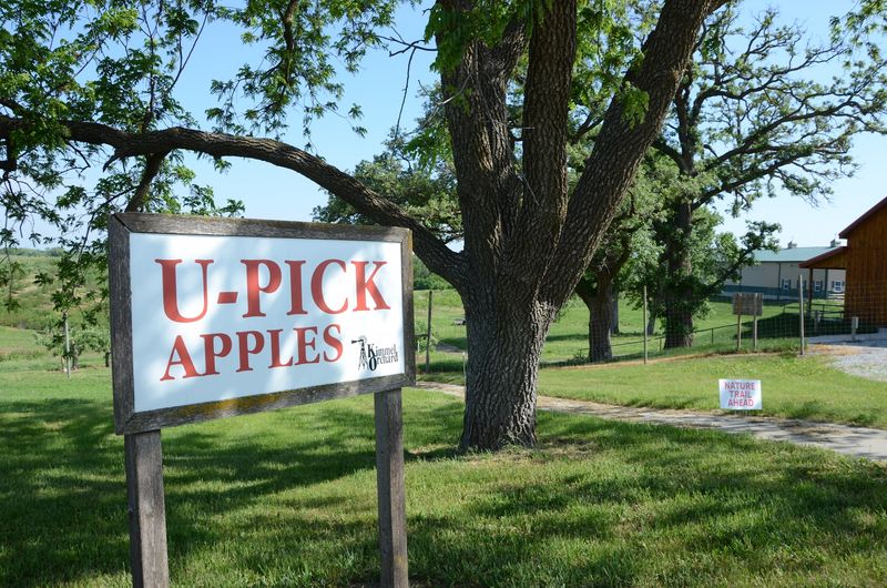 Pick Another Bag Of Apples At Kimmel Orchard