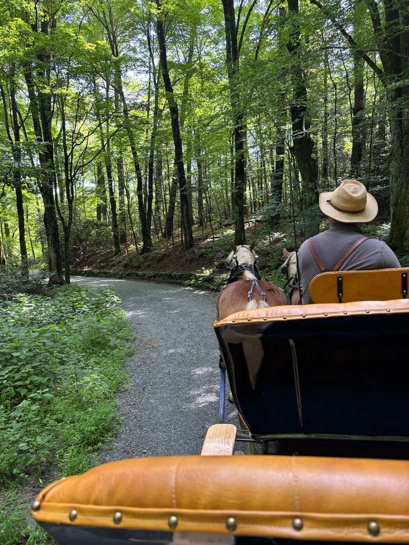 This 2-Hour Carriage Ride Might Be North Carolina’s Most Unexpected Mountain Adventure - Decor Hint Settle Into A Comfortable Carriage Pulled By Gentle Trained Horses