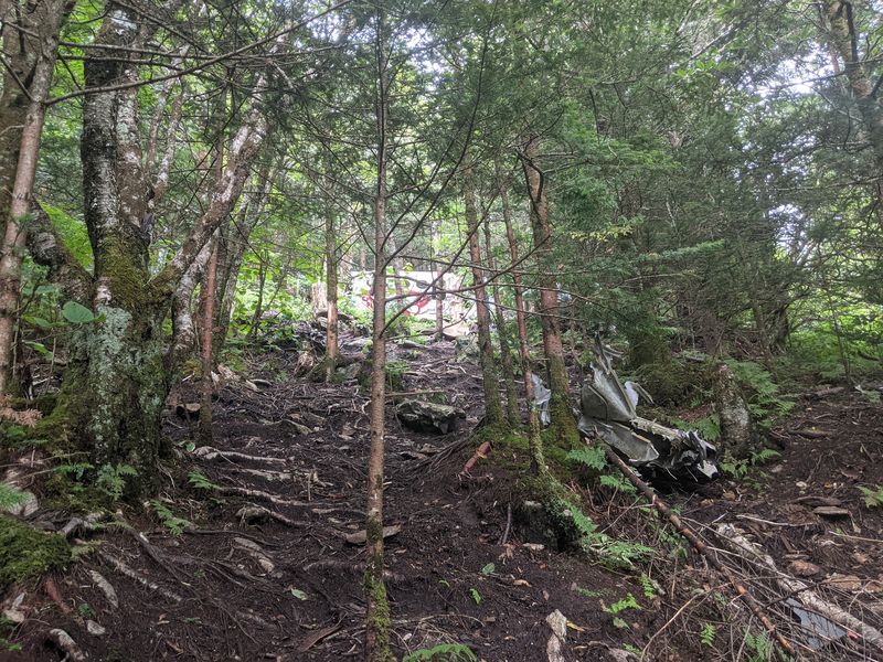 Hike The Established Waterrock Knob Trail Instead Of Following Old Crash-Site Directions