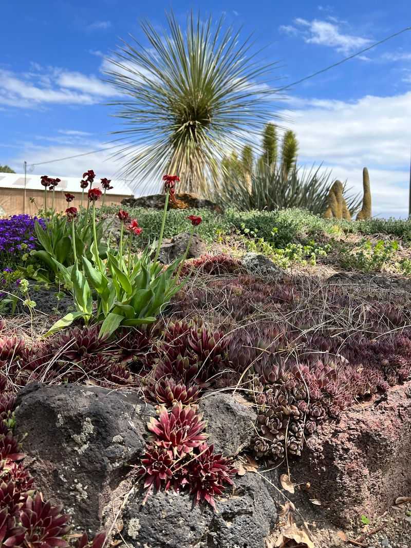 Leave Feeling Like You Discovered One Of Southern Idaho's Hidden Gems