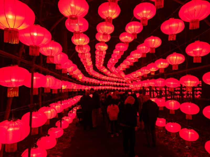 See Why Hundreds Of Thousands Of Visitors Keep Coming Back