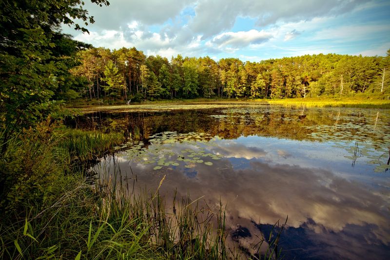 Water And Woods Just Minutes Away