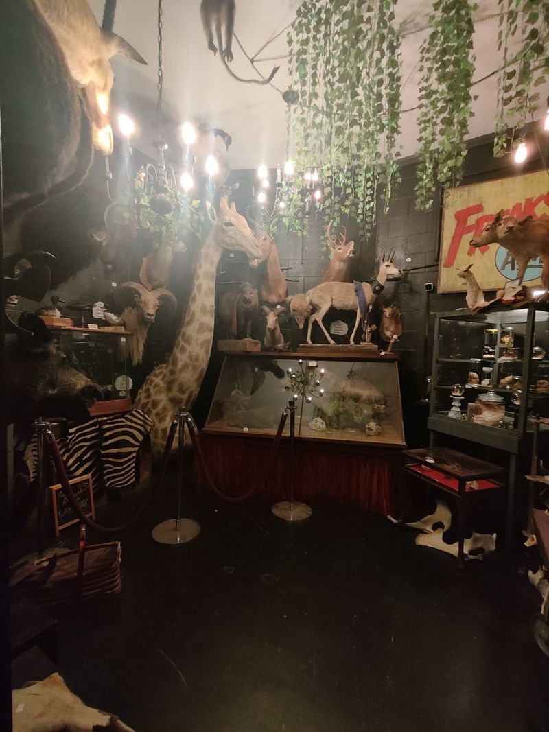 Punch Ticket To The Mini Museum