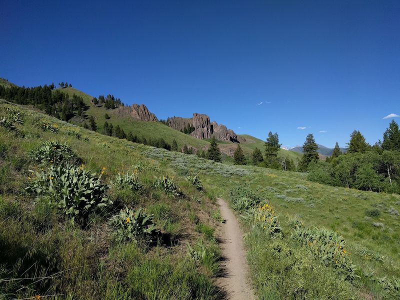 Adams Gulch Loop, Ketchum