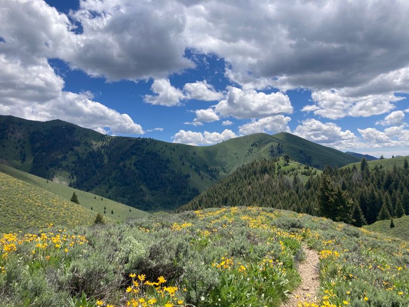 Taylor Canyon Trail, Ketchum
