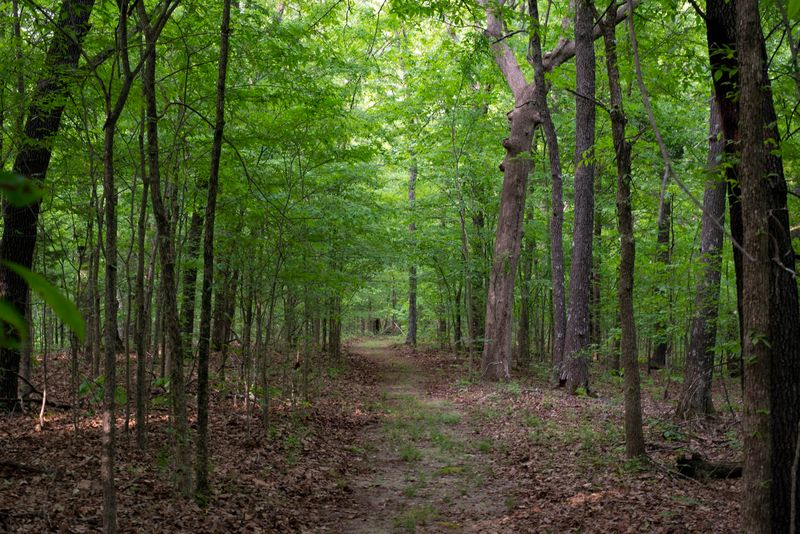 Trails That Don't Require Hiking Boots