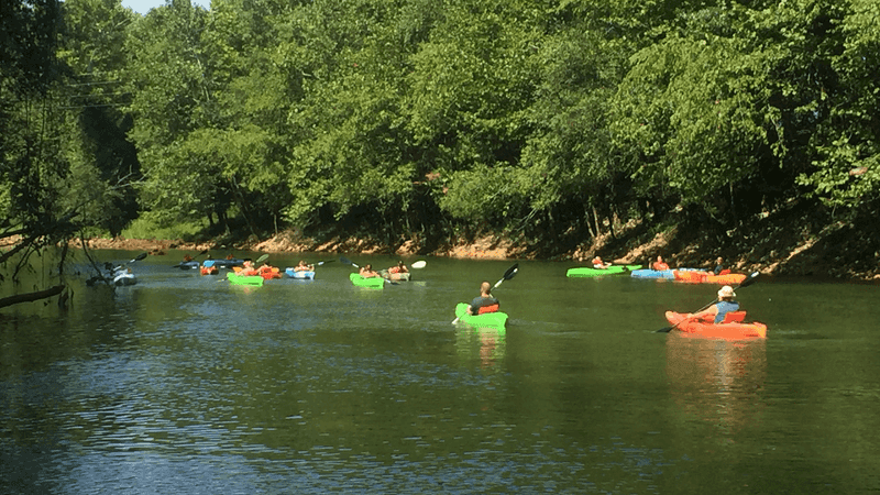 Grab A Paddle And Explore These 10 Relaxing Kentucky Waterways - Decor Hint The Ole Cornfield