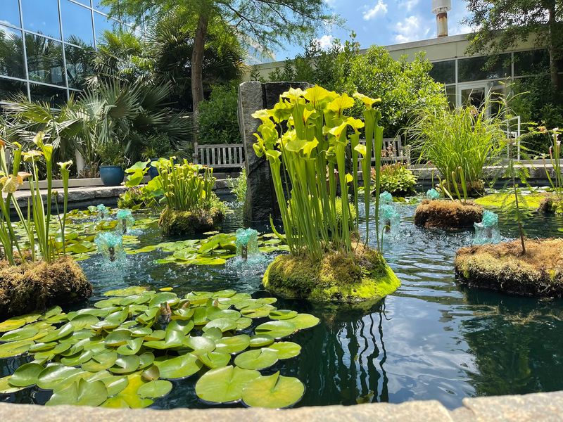 The Tropical Conservatory