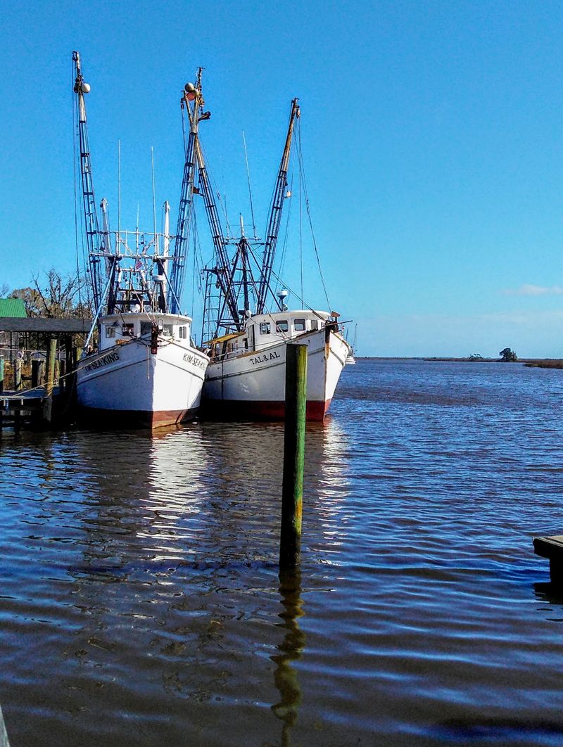 This Gorgeous Georgia Coastal Town Might Just Be The Most Beautiful Small Town On The Coast - Decor Hint Shrimp Boats And Spanish Moss At The Waterfront Park