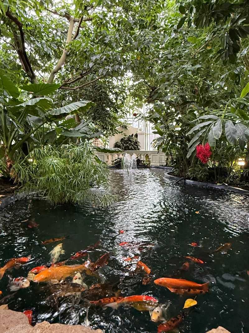 The Conservatory That Feels Like A Different World