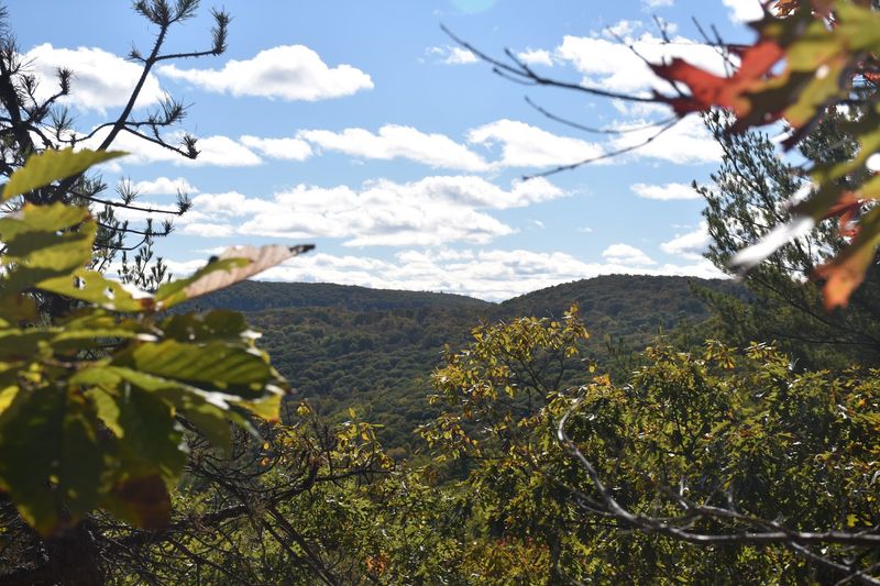 Pine Knob Opens To Valley Views