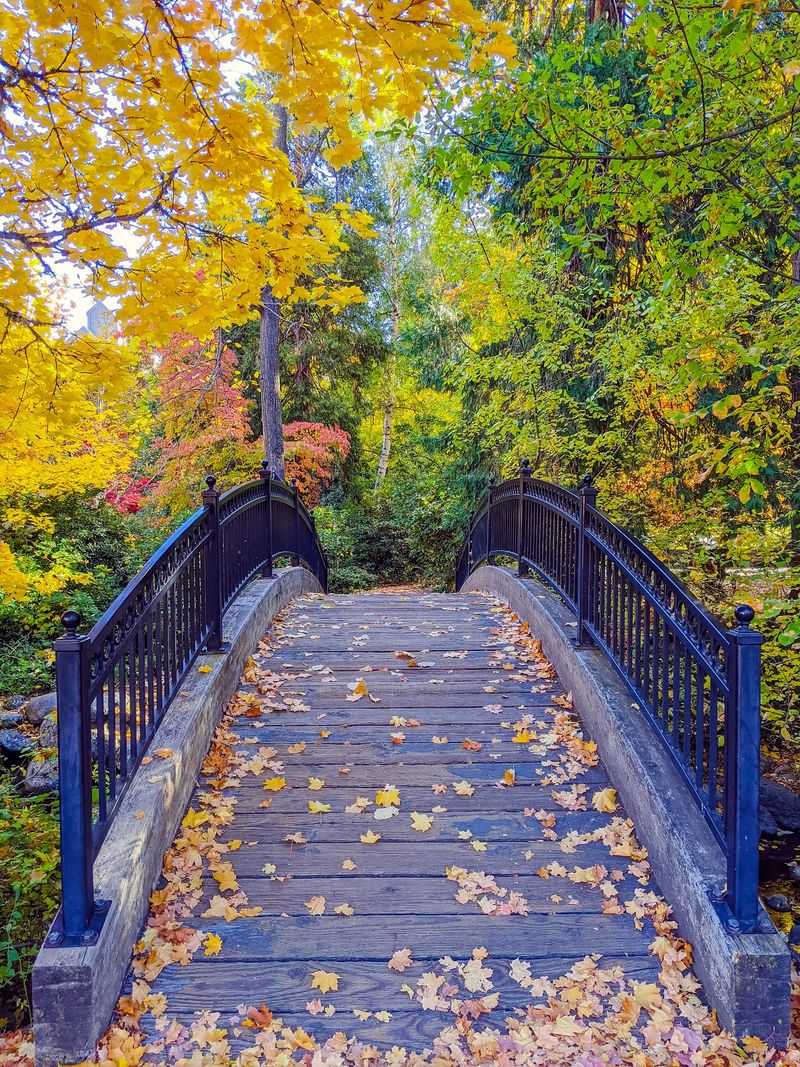 Lithia Park